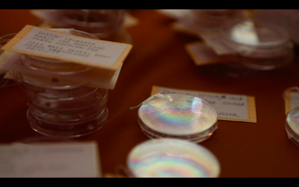 Bildschirmfoto2020 12 30um164033